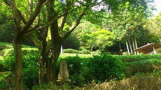 観光茶園
