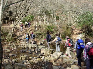 �g�E�F���e�B�N���X