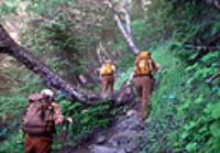 �O���ڕt��