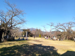権現山