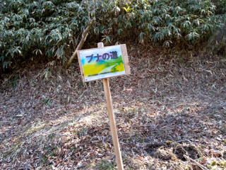 ブナの道