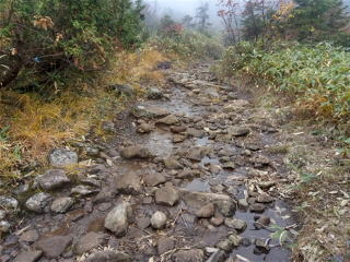 登山道