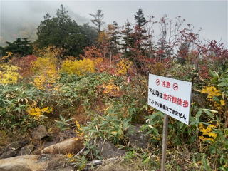 下の芝下山