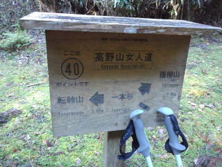 楊柳山登山口