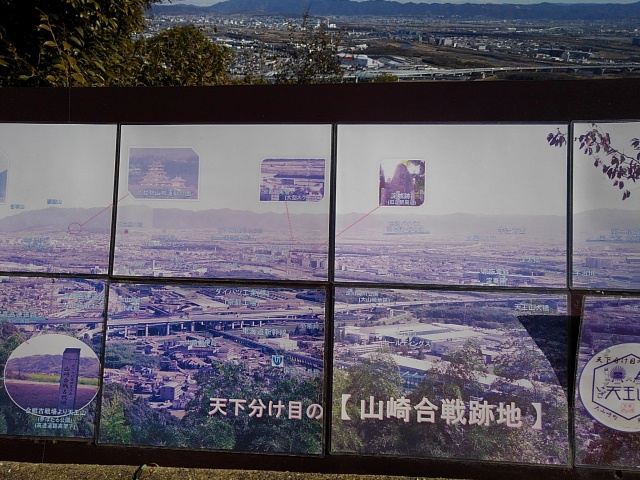 旗立松展望台
