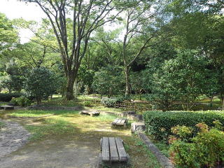 つばきの森