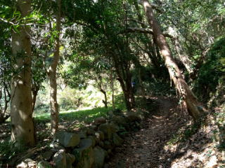城跡公園