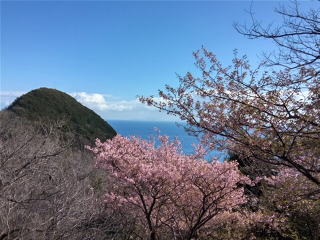 河津浜