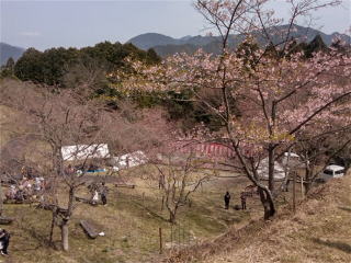 桜華園