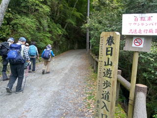 春日山遊歩道