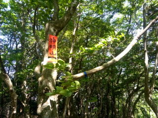 神明山