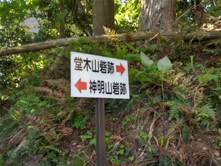 分岐