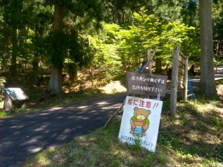 入口