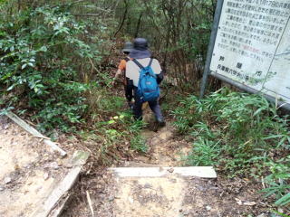 分岐