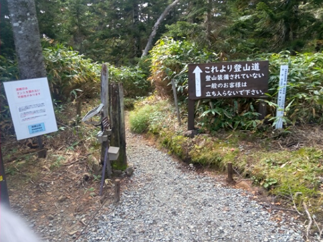 登山道