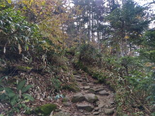 登山道