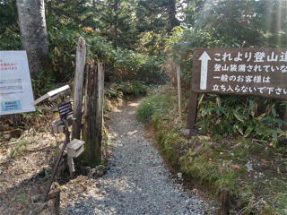 ゲート