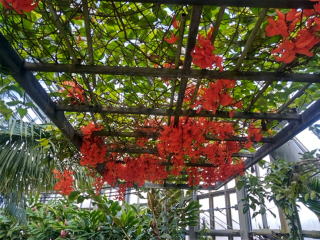 市立植物園