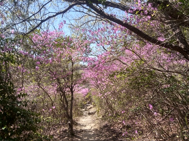 北山池