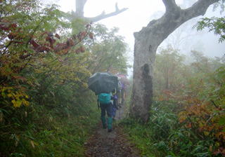 �J�̕�����