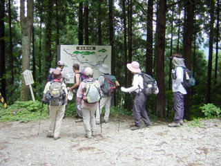 �������ē���