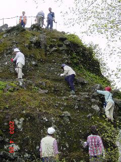 ����̓W�]���