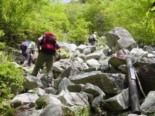 �K����o��