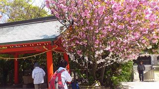 淡嶋神社