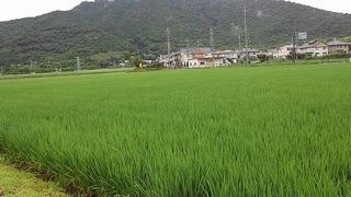 安土