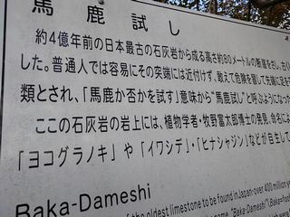 馬鹿試し