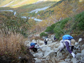 �p�m���}��O�̋}�o