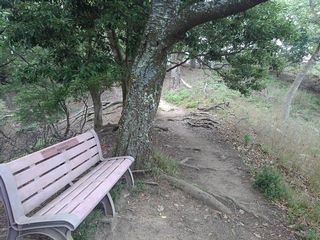 展望ベンチ