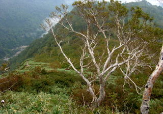 �ʓ��╪�򂩂�c����