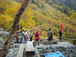 ���`���A�j�b�|�����n�[�T��