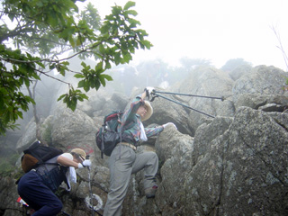 ����������̏��