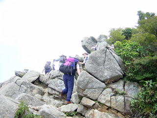 ��ł��s��