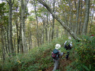 �u�i�т��̂Q