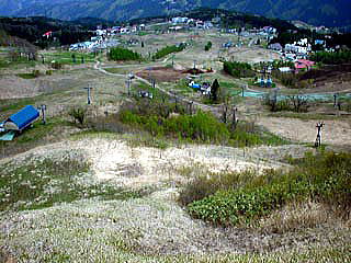 �u�i�A���n