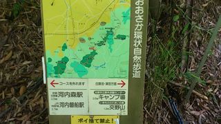 分岐