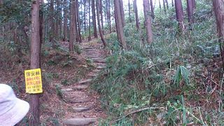 分岐