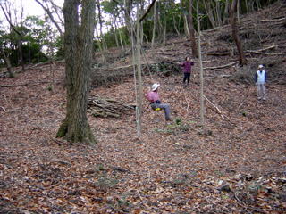 ��1�x�e���̃u�����R