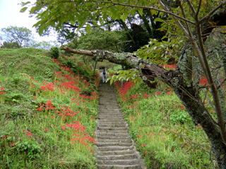 �������̔ފ݉�