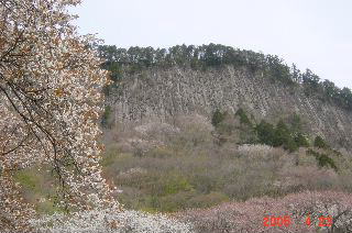 ������ƍ�