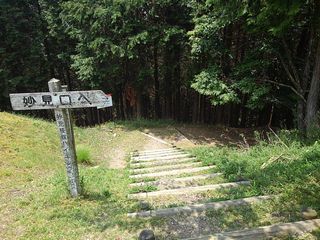 山上