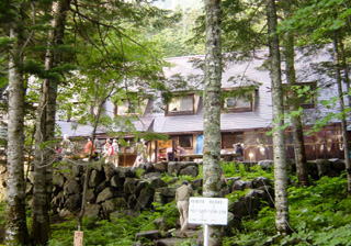 ���q����