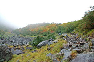 �q���b�e����