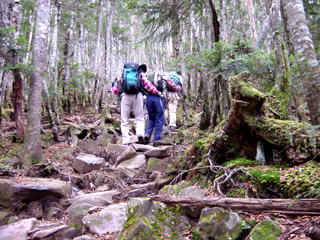 �Ȍ͎R�ւ̒��o