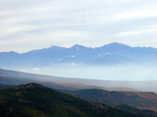 ���P�R����̃p�m���}