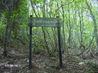 �_���m��