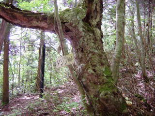 �_���m��